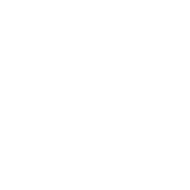 ModurIT Project Highlights Badge